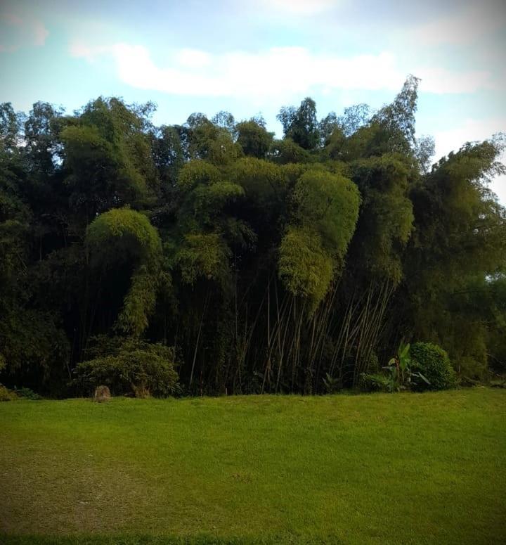 Отель Filandia - Finca Rural La Guadalupana Экстерьер фото