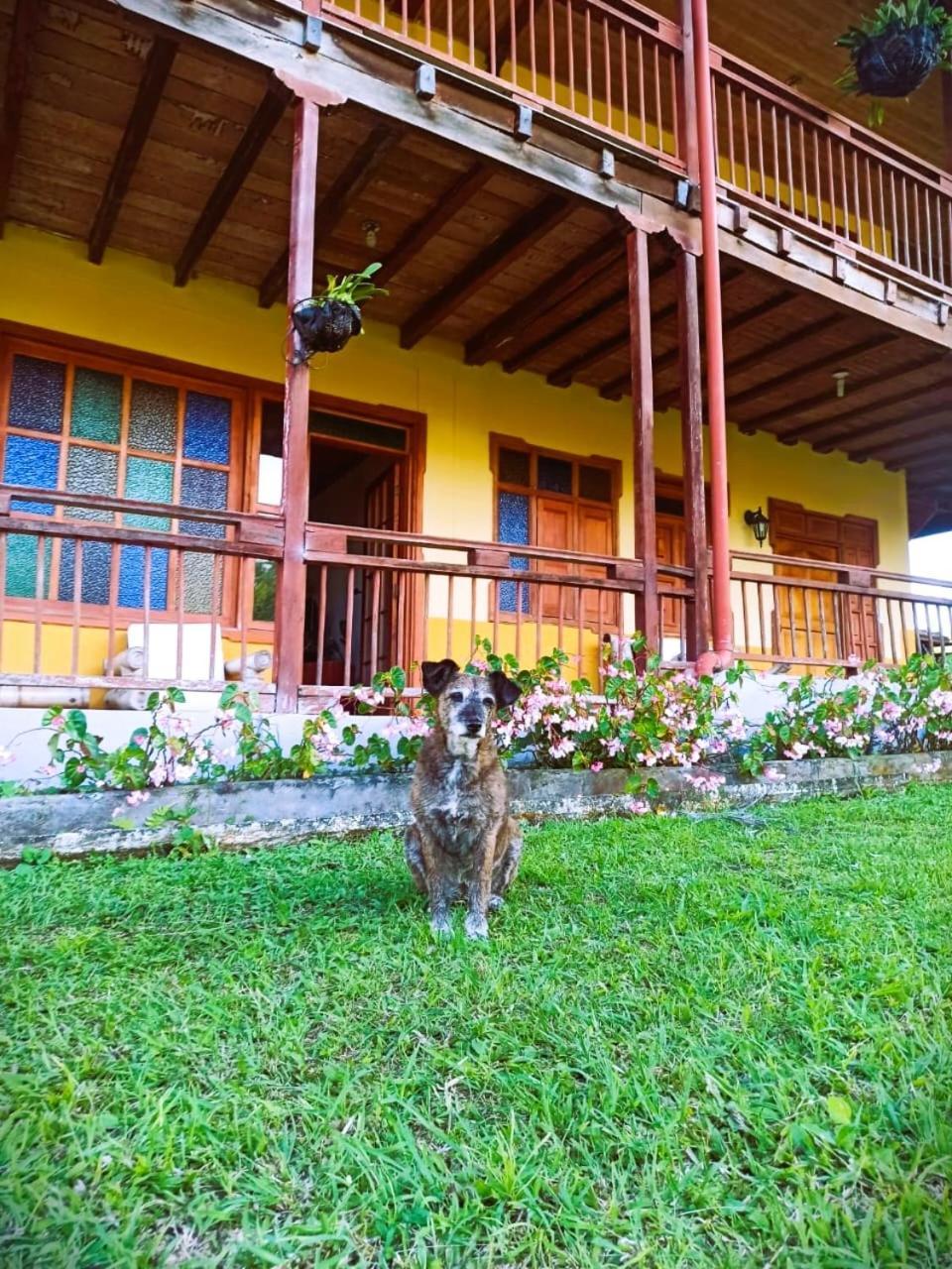Отель Filandia - Finca Rural La Guadalupana Экстерьер фото